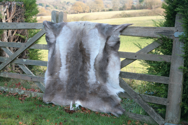 Reindeer Hides – Not Just For Winter