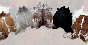 Cowhide Rugs In Many Different Colours