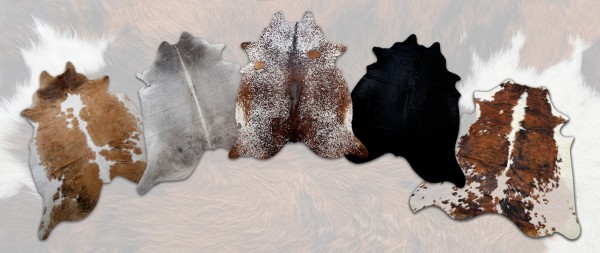 Cowhide Rugs Blog Cowhide Rug